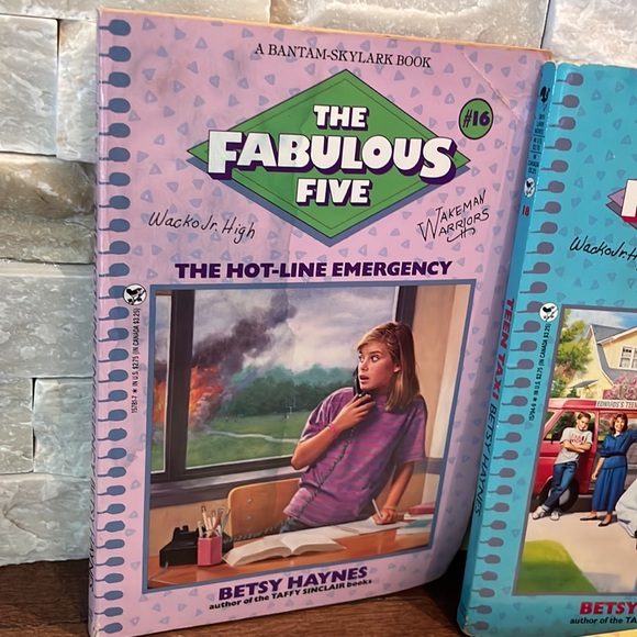 The Fabulous Five books - Picture 2 of 7